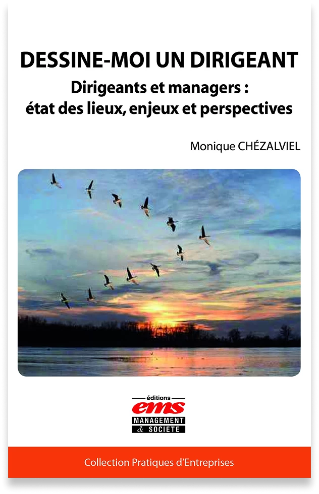 cv_dessine_dirigean